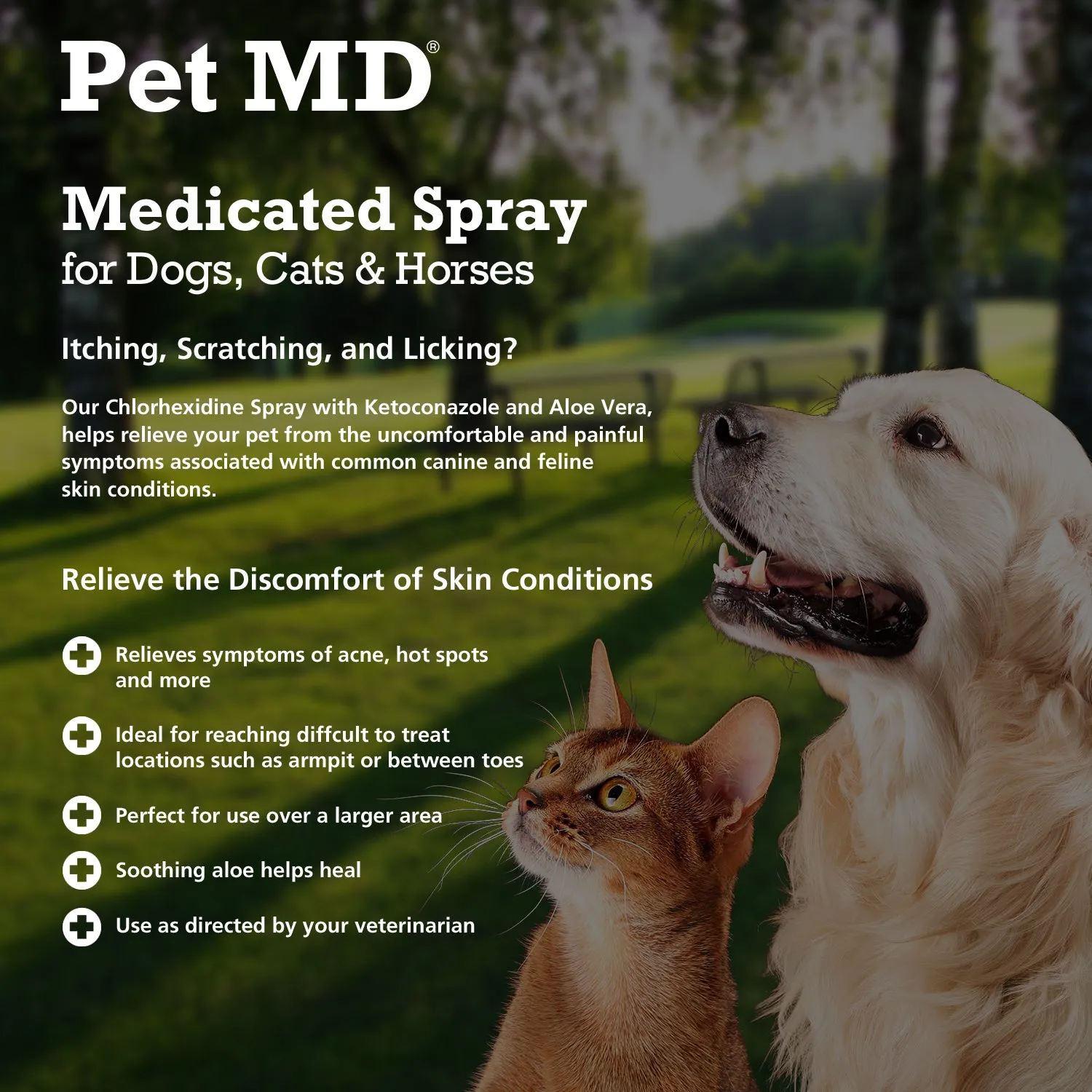 Antiseptic & Antifungal Medicated Spray for Dogs, Cats and Horses - 8 oz