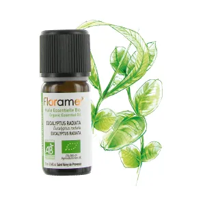 Essential Oil, Eucalyptus Radiata, 10 ml