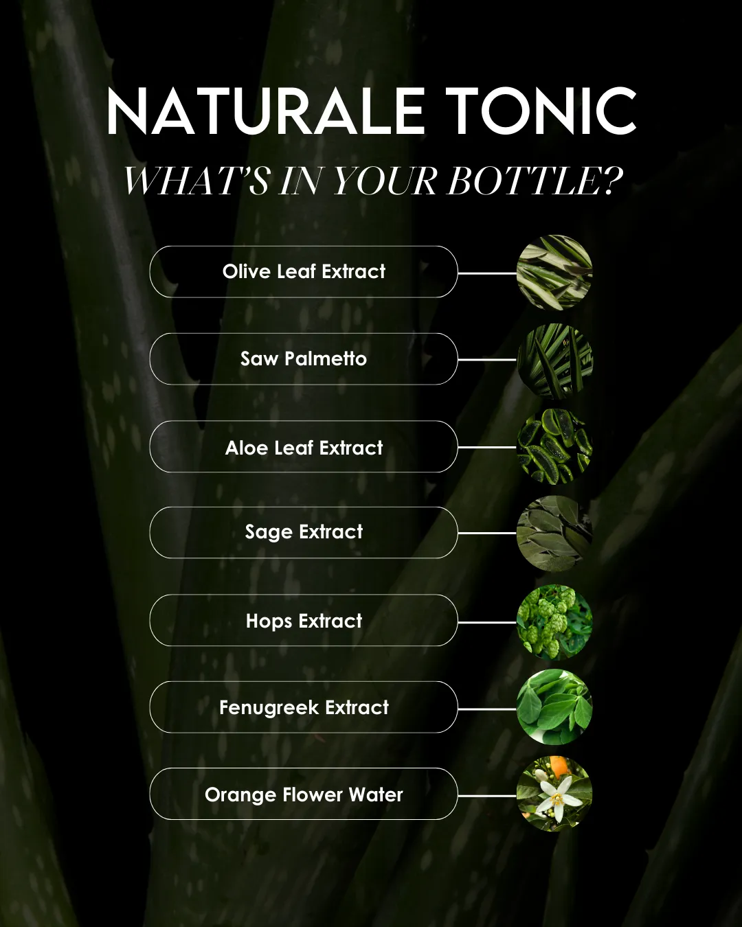 Naturale Scalp and Hair Tonic