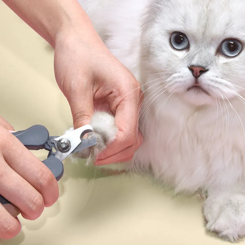 Pat and Pet Emporium | Pet Grooming | Pet Clipper