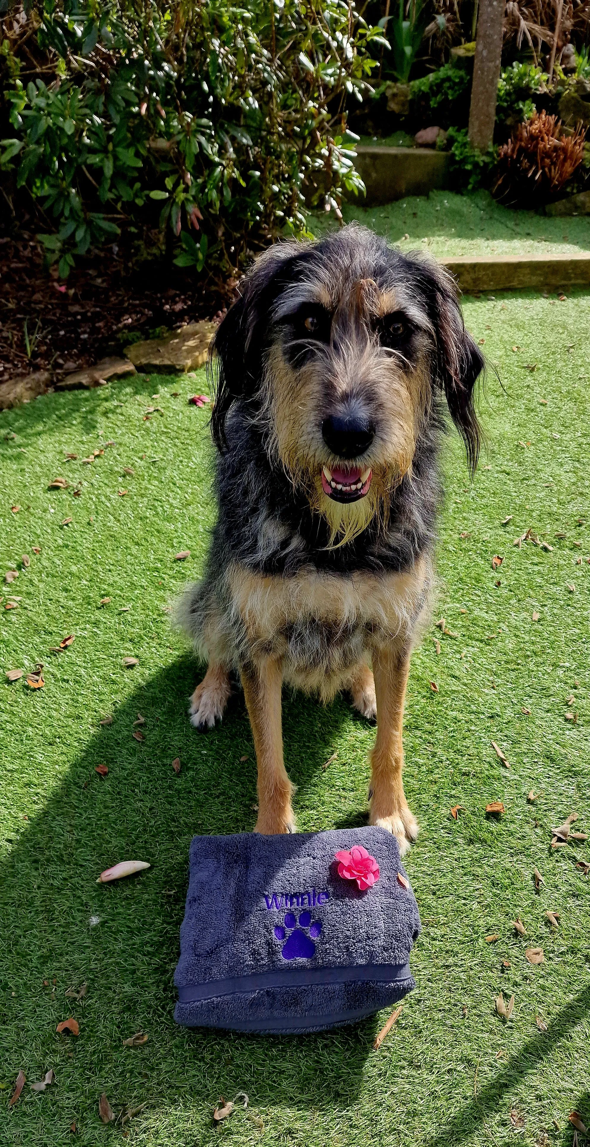 Personalised towels