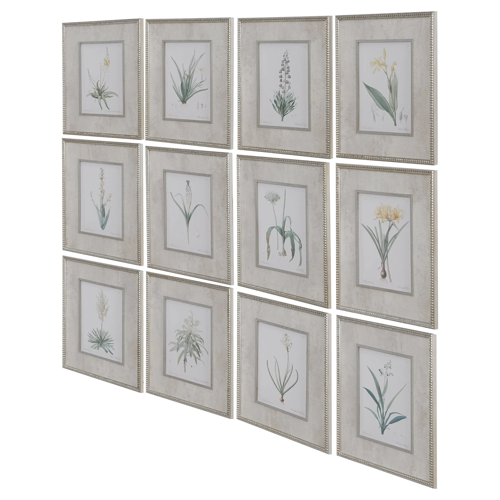 Spring Florals Framed Prints, Set/12