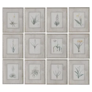 Spring Florals Framed Prints, Set/12